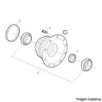 21831392-cubo-roda-diant-truck-onibus-volvo