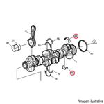 23624058-jogo-bronzinas-std-mancal-motor-caminhao-onibus-volvo