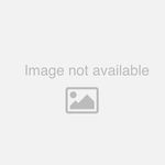 8121722	
-engrenagem-caminhao-onibus-volvo