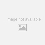 Captura-de-tela-2026-05-15-084219